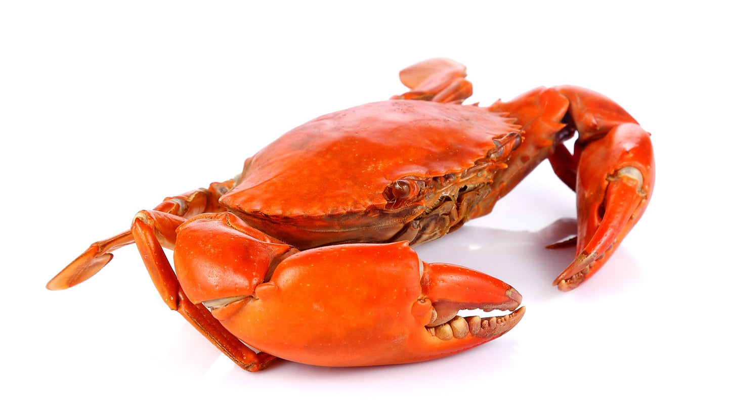 Crab